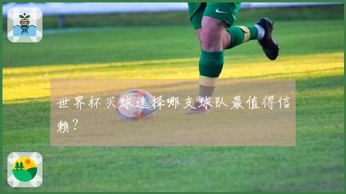 世界杯买球选择哪支球队最值得信赖？