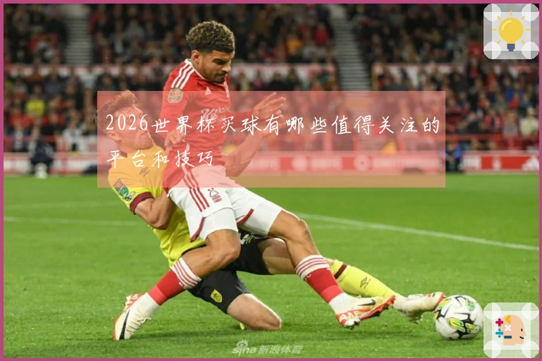 2026世界杯买球有哪些值得关注的平台和技巧