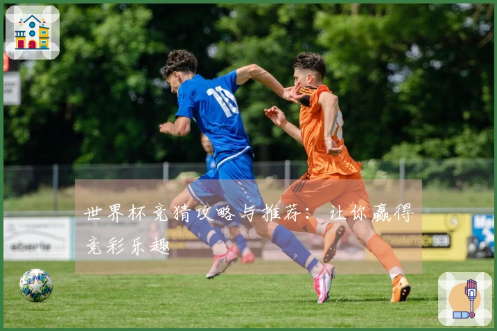 世界杯竞猜攻略与推荐：让你赢得竞彩乐趣