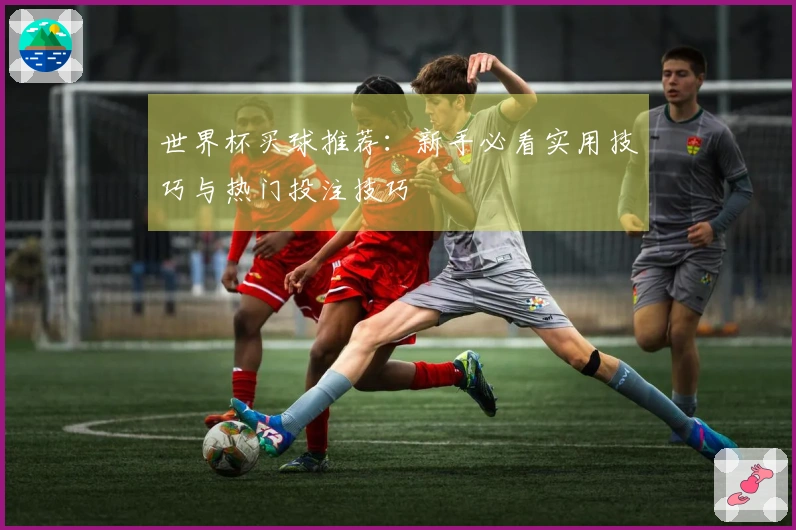 世界杯买球推荐：新手必看实用技巧与热门投注技巧