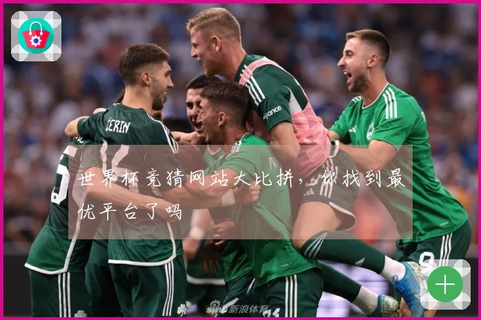 世界杯竞猜网站大比拼，你找到最优平台了吗