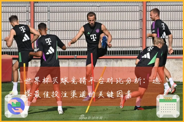 世界杯买球竞猜平台对比分析：选择最佳投注渠道的关键因素