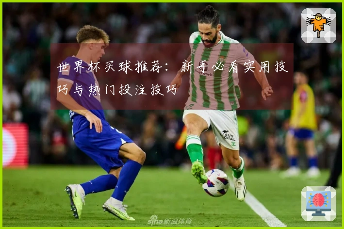世界杯买球推荐：新手必看实用技巧与热门投注技巧